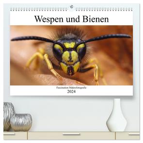 Faszination Makrofotografie: Wespen und Bienen (hochwertiger Premium Wandkalender 2024 DIN A2 quer), Kunstdruck in Hochglanz von Mett Photography,  Alexander