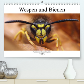 Faszination Makrofotografie: Wespen und Bienen (Premium, hochwertiger DIN A2 Wandkalender 2023, Kunstdruck in Hochglanz) von Mett Photography,  Alexander