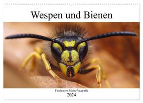 Faszination Makrofotografie: Wespen und Bienen (Wandkalender 2024 DIN A2 quer), CALVENDO Monatskalender von Mett Photography,  Alexander