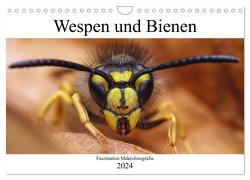 Faszination Makrofotografie: Wespen und Bienen (Wandkalender 2024 DIN A4 quer), CALVENDO Monatskalender von Mett Photography,  Alexander