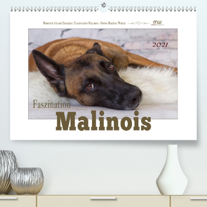 Faszination Malinois (Premium, hochwertiger DIN A2 Wandkalender 2021, Kunstdruck in Hochglanz) von Wrede,  Martina