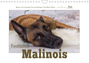 Faszination Malinois (Wandkalender 2023 DIN A4 quer) von Wrede,  Martina