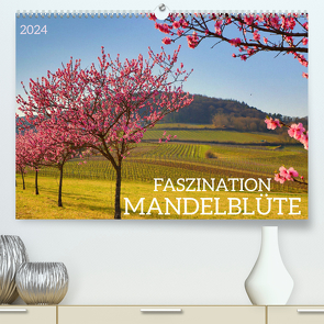 FASZINATION MANDELBLÜTE (Premium, hochwertiger DIN A2 Wandkalender 2024, Kunstdruck in Hochglanz) von Fillinger,  Sulamay