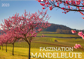 FASZINATION MANDELBLÜTE (Wandkalender 2023 DIN A2 quer) von Fillinger,  Sulamay