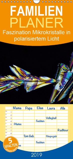 Faszination Mikrokristalle in polarisiertem Licht – Familienplaner hoch (Wandkalender 2019 , 21 cm x 45 cm, hoch) von Becker,  Thomas