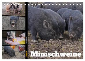 Faszination Minischweine (Tischkalender 2024 DIN A5 quer), CALVENDO Monatskalender von Paul - Babett's Bildergalerie,  Babett