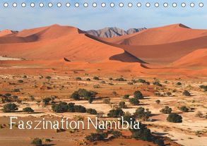 Faszination Namibia (Tischkalender 2019 DIN A5 quer) von Scholz,  Frauke