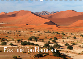 Faszination Namibia (Wandkalender 2020 DIN A2 quer) von Scholz,  Frauke