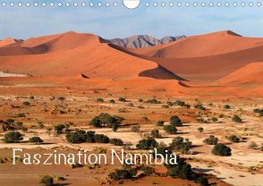 Faszination Namibia (Wandkalender 2020 DIN A4 quer) von Scholz,  Frauke