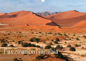 Faszination Namibia (Wandkalender 2023 DIN A3 quer) von Scholz,  Frauke