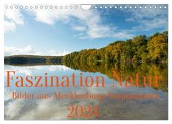 Faszination Natur – Bilder aus Mecklenburg-Vorpommern (Wandkalender 2024 DIN A4 quer), CALVENDO Monatskalender von Pipping,  Ulf