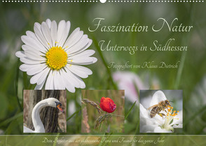 Faszination Natur Unterwegs in Südhessen (Wandkalender 2023 DIN A2 quer) von von Klaus Dietrich,  Klaus54Fotos