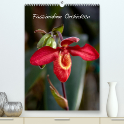 Faszination Orchideen (Premium, hochwertiger DIN A2 Wandkalender 2023, Kunstdruck in Hochglanz) von Rix,  Veronika