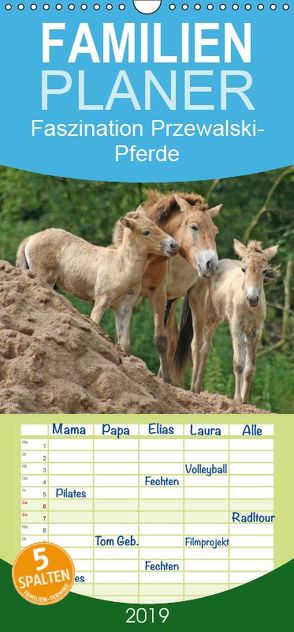 Faszination Przewalski-Pferde – Familienplaner hoch (Wandkalender 2019 , 21 cm x 45 cm, hoch) von Lindert-Rottke,  Antje
