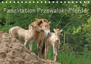 Faszination Przewalski-Pferde (Tischkalender 2019 DIN A5 quer) von Lindert-Rottke,  Antje