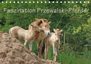 Faszination Przewalski-Pferde (Tischkalender 2021 DIN A5 quer) von Lindert-Rottke,  Antje