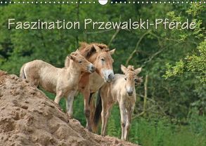 Faszination Przewalski-Pferde (Wandkalender 2018 DIN A3 quer) von Lindert-Rottke,  Antje