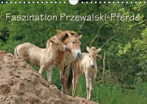 Faszination Przewalski-Pferde (Wandkalender 2018 DIN A4 quer) von Lindert-Rottke,  Antje