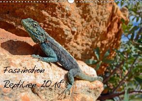 Faszination Reptilien 2018 (Wandkalender 2018 DIN A3 quer) von Appelhans,  Patrick