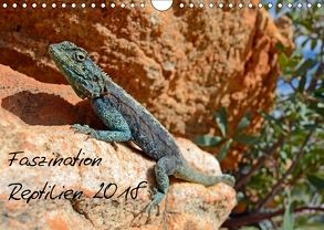 Faszination Reptilien 2018 (Wandkalender 2018 DIN A4 quer) von Appelhans,  Patrick