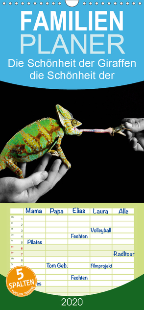 Faszination Reptilien – Familienplaner hoch (Wandkalender 2020 , 21 cm x 45 cm, hoch) von Photo - Jakob Stute,  Stute