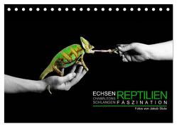 Faszination Reptilien (Tischkalender 2024 DIN A5 quer), CALVENDO Monatskalender von Photo - Jakob Stute,  Stute