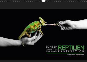Faszination Reptilien (Wandkalender 2019 DIN A3 quer) von Photo - Jakob Stute,  Stute