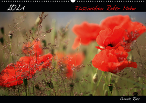 Faszination Roter Mohn (Wandkalender 2021 DIN A2 quer) von Ries,  Claude