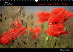 Faszination Roter Mohn (Wandkalender 2021 DIN A3 quer) von Ries,  Claude