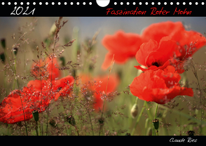 Faszination Roter Mohn (Wandkalender 2021 DIN A4 quer) von Ries,  Claude