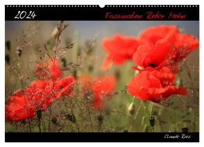 Faszination Roter Mohn (Wandkalender 2024 DIN A2 quer), CALVENDO Monatskalender von Ries,  Claude