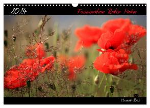 Faszination Roter Mohn (Wandkalender 2024 DIN A3 quer), CALVENDO Monatskalender von Ries,  Claude