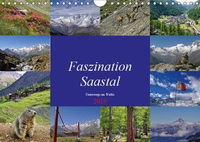 Faszination Saastal. Unterwegs im Wallis (Wandkalender 2019 DIN A4 quer) von Michel,  Susan