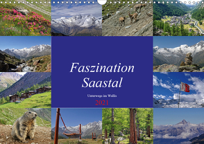 Faszination Saastal. Unterwegs im Wallis (Wandkalender 2021 DIN A3 quer) von Michel,  Susan