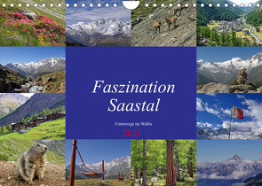 Faszination Saastal. Unterwegs im Wallis (Wandkalender 2022 DIN A4 quer) von Michel,  Susan