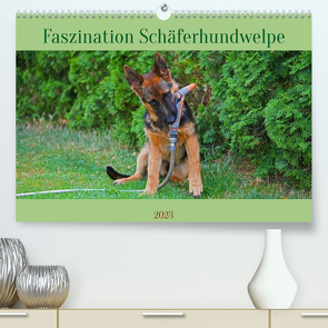 Faszination Schäferhundwelpe (Premium, hochwertiger DIN A2 Wandkalender 2023, Kunstdruck in Hochglanz) von Paul - Babett's Bildergalerie,  Babett