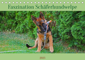 Faszination Schäferhundwelpe (Tischkalender 2023 DIN A5 quer) von Paul - Babett's Bildergalerie,  Babett