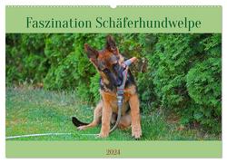 Faszination Schäferhundwelpe (Wandkalender 2024 DIN A2 quer), CALVENDO Monatskalender von Paul - Babett's Bildergalerie,  Babett