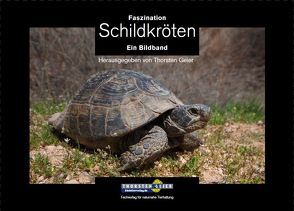 Faszination Schildkröten von Geier,  Thorsten