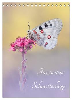 Faszination Schmetterlinge (Tischkalender 2024 DIN A5 hoch), CALVENDO Monatskalender von Kraschl,  Marion