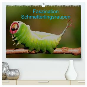 Faszination Schmetterlingsraupen (hochwertiger Premium Wandkalender 2024 DIN A2 quer), Kunstdruck in Hochglanz von Erlwein,  Winfried