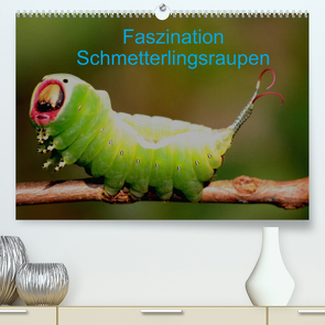 Faszination Schmetterlingsraupen (Premium, hochwertiger DIN A2 Wandkalender 2022, Kunstdruck in Hochglanz) von Erlwein,  Winfried