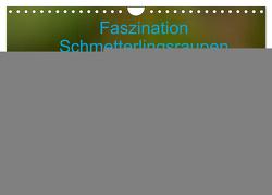 Faszination Schmetterlingsraupen (Wandkalender 2024 DIN A4 quer), CALVENDO Monatskalender von Erlwein,  Winfried