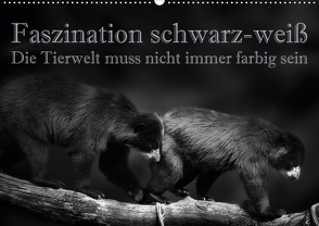 Faszination schwarz-weiß – Die Tierwelt muss nicht immer farbig sein (Wandkalender 2020 DIN A2 quer) von Swierczyna,  Eleonore