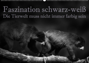 Faszination schwarz-weiß – Die Tierwelt muss nicht immer farbig sein (Wandkalender 2023 DIN A2 quer) von Swierczyna,  Eleonore