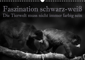 Faszination schwarz-weiß – Die Tierwelt muss nicht immer farbig sein (Wandkalender 2023 DIN A3 quer) von Swierczyna,  Eleonore
