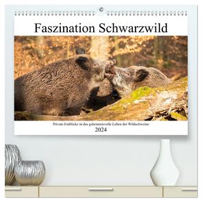 Faszination Schwarzwild (hochwertiger Premium Wandkalender 2024 DIN A2 quer), Kunstdruck in Hochglanz von Fett,  Daniela