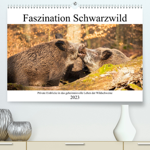 Faszination Schwarzwild (Premium, hochwertiger DIN A2 Wandkalender 2023, Kunstdruck in Hochglanz) von Fett,  Daniela