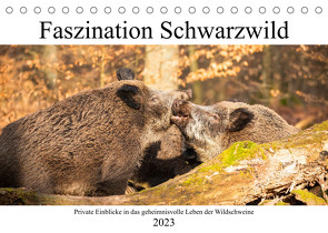 Faszination Schwarzwild (Tischkalender 2023 DIN A5 quer) von Fett,  Daniela