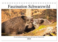 Faszination Schwarzwild (Tischkalender 2024 DIN A5 quer), CALVENDO Monatskalender von Fett,  Daniela